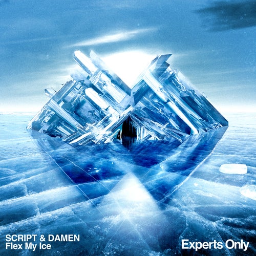 Cover art for Flex My Ice - Extended Mix