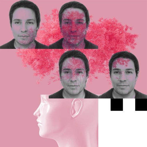 Cover art for Niagara