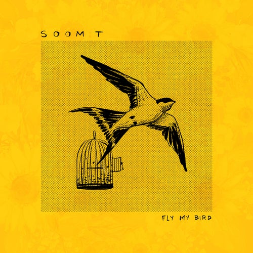 Fly my Bird