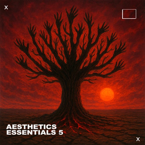 Aesthetics Essentials 5