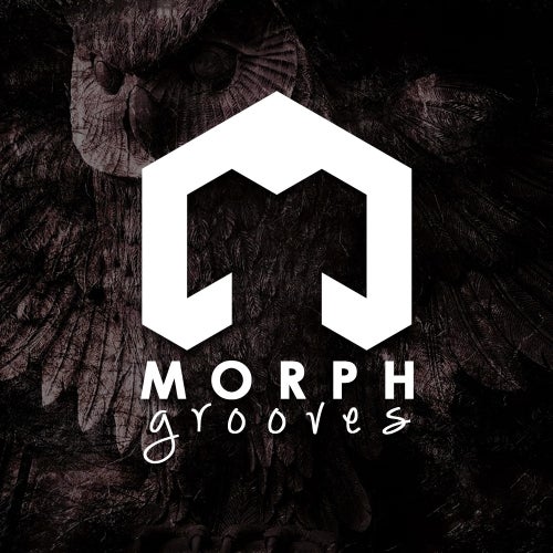 Morph Grooves