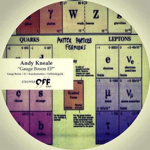 Gauge Boson EP