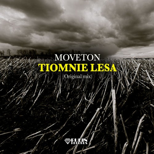 Tiomnie Lesa