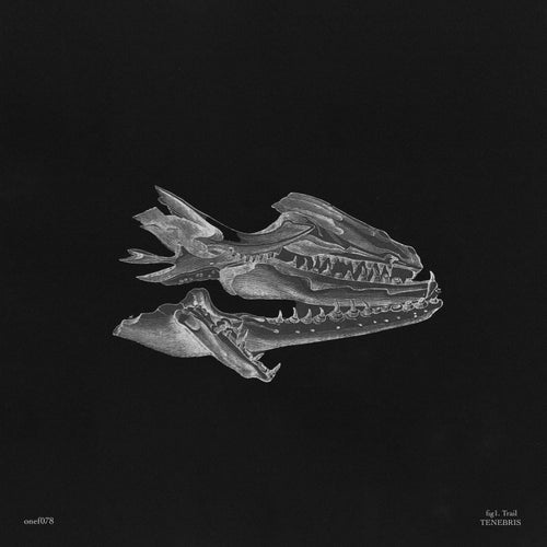 Tenebris EP