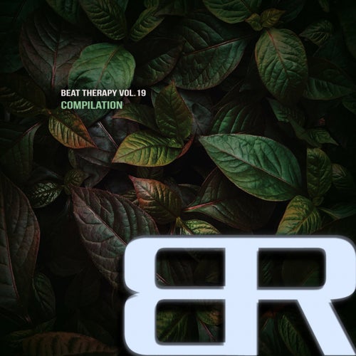 Beat therapy, Vol. 19 Compilation