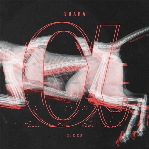 Cover art for Alpha Sides