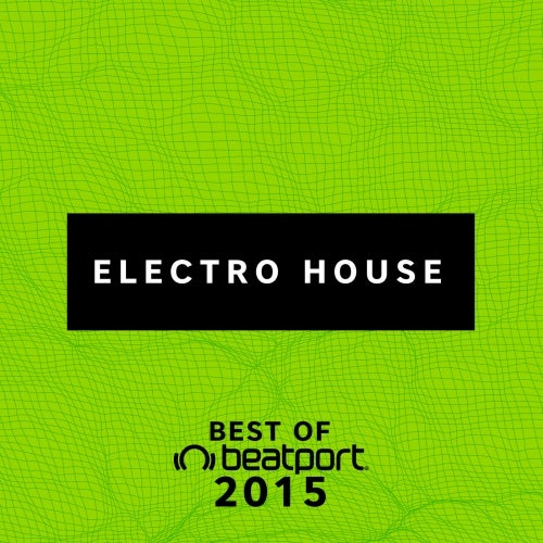 Best Of 2015: Electro House