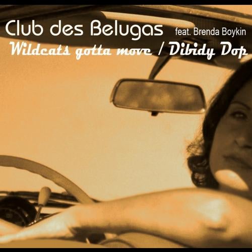 Wildcats & Dibidy Dop