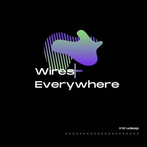 Wires Everywhere - Enya [Intrudeep].mp3
