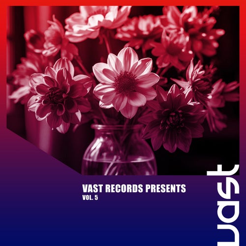 VAST Records Presents, Vol. 5
