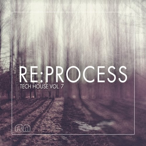 Cover art for Re:Process - Tech House Vol. 7