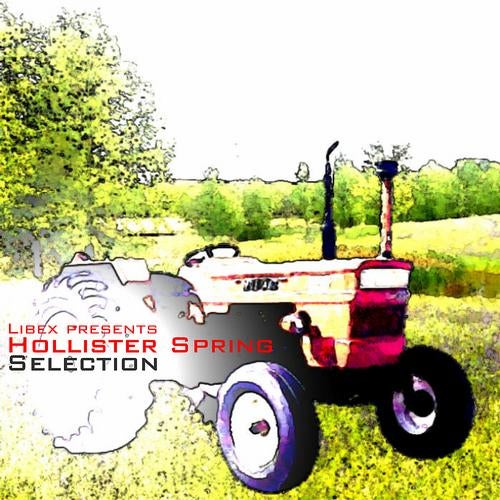 Libex Presents - Hollister Spring Selection