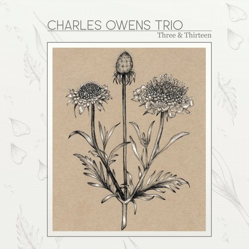 Cover art for Three and Thirteen