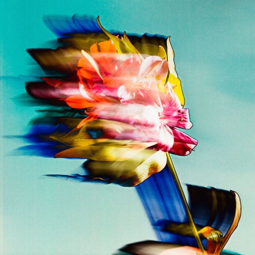 Cover art for Embrace EP