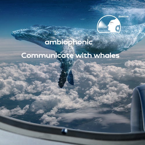 Communicate with whales