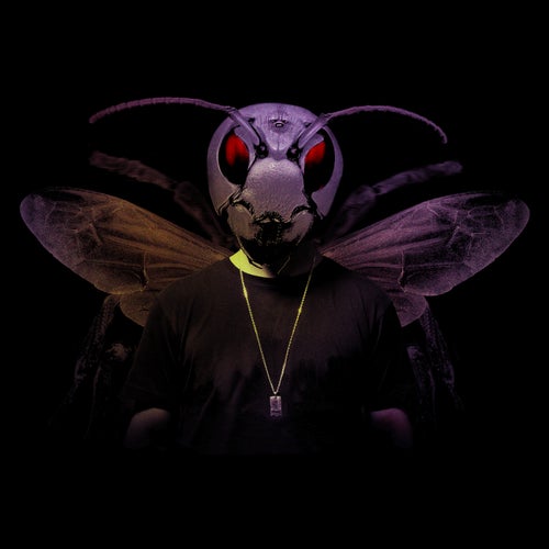 Hornet