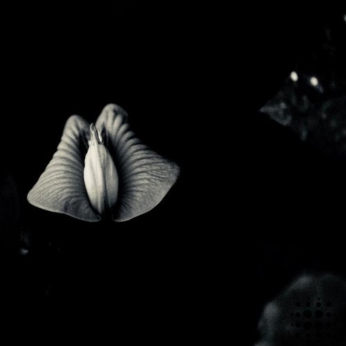 Cover art for Suitcase