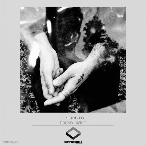Cover art for Osmosis