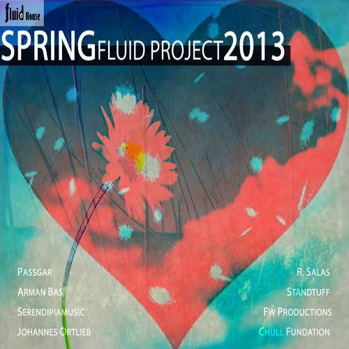 Spring Fluid Project 2013