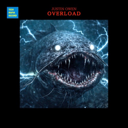 Overload
