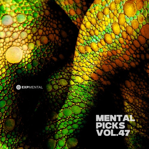 VA – Mental Picks Vol.47 (2025)