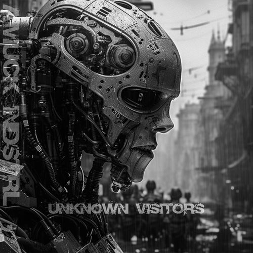 Cover art for UNKNOWN VISITORS