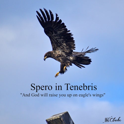 Spero in Tenebris