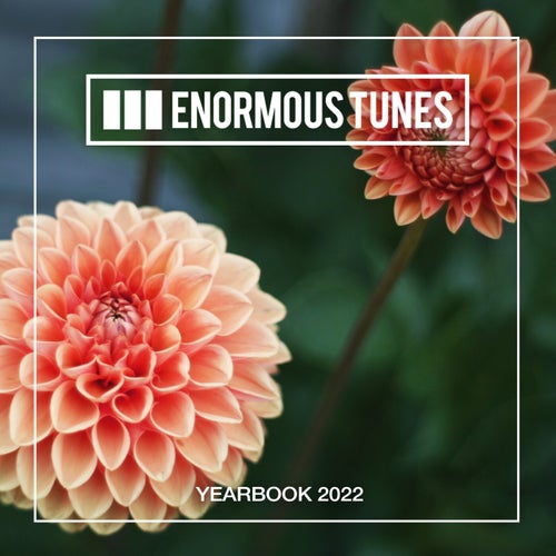 Cover art for Enormous Tunes - The Yearbook 2022