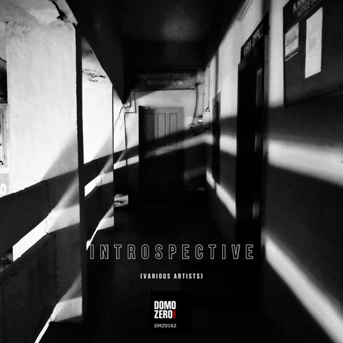 Cover art for Introspective