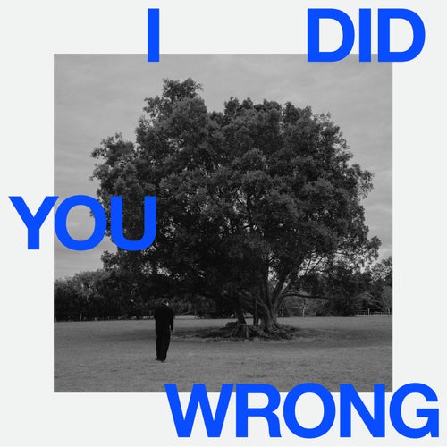 I Did You Wrong - Laurence Guy Remix