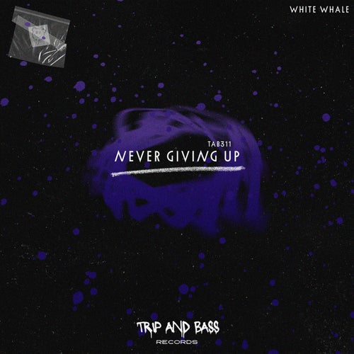 Never Giving Up
