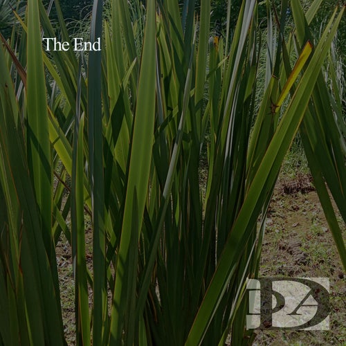 Cover art for The End