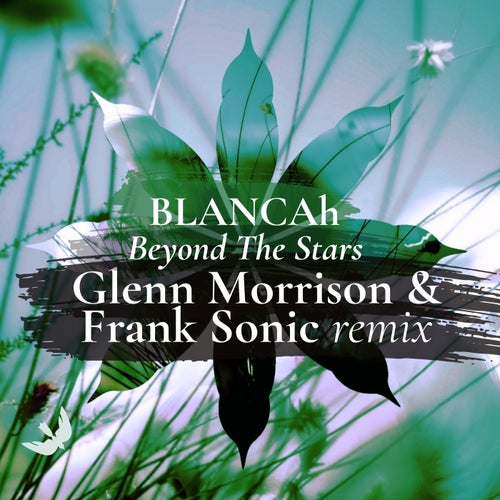 Beyond the Stars (Glenn Morrison & Frank Sonic Remix)