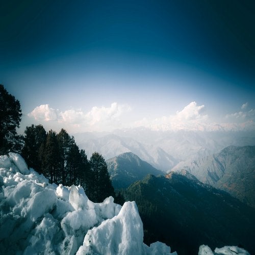Cover art for Assertive