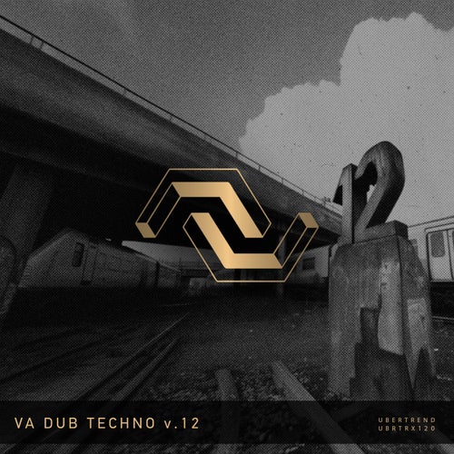 V.A. Dub Techno V.12