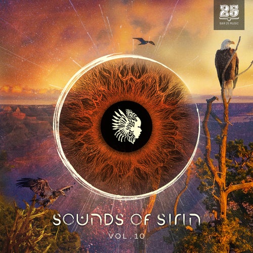 Bar 25 Music Presents Sounds of Sirin Vol.10 BAR25215