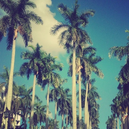 August Summer