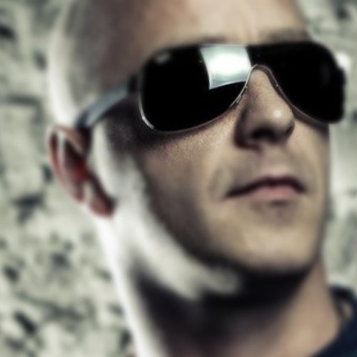 no dog's but many cat's | Top10 Charts