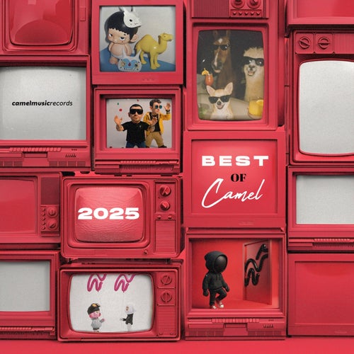 Best of Camel 2025