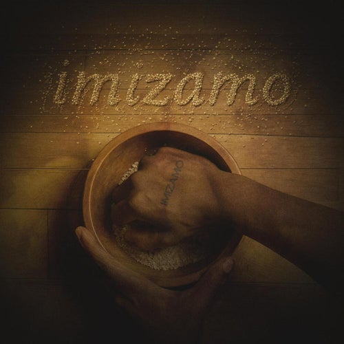Imizamo (feat. Mr Maker, Shane907 & Nokulunga V)