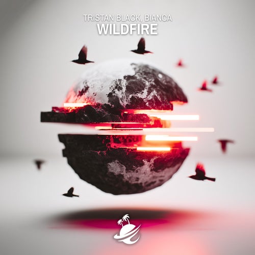 Wildfire