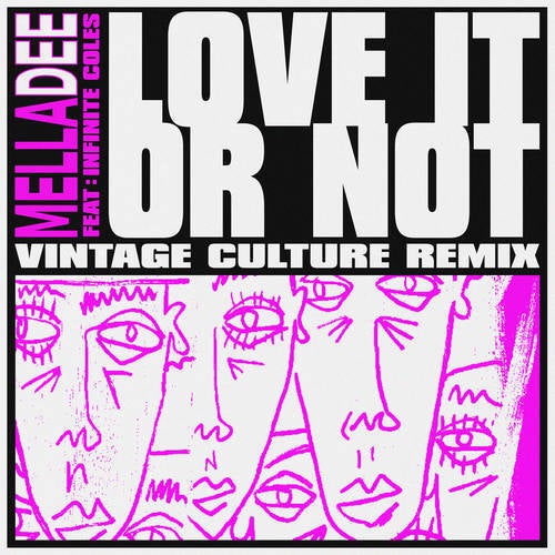 Love It or Not (feat. Infinite Coles) (Vintage Culture Extended Remix)