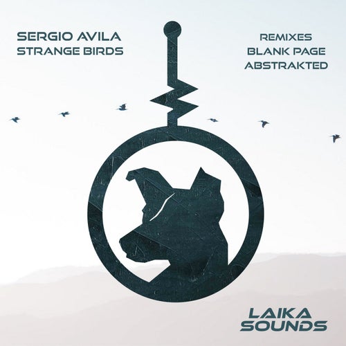 Strange Birds