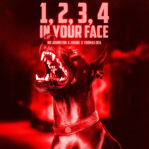 1, 2, 3, 4 (In Your Face) [Kick Edit]