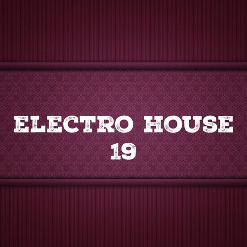 Electro House, Vol. 19