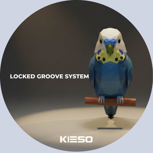 Locked Groove System