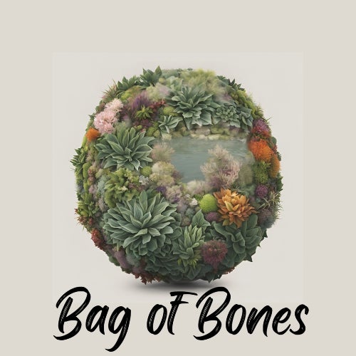 Bag Of Bones 