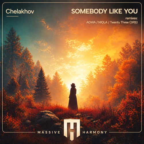 Somebody Like You