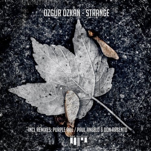 Cover art for Strange