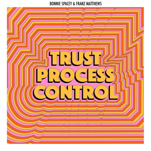 Trust, Process, Control